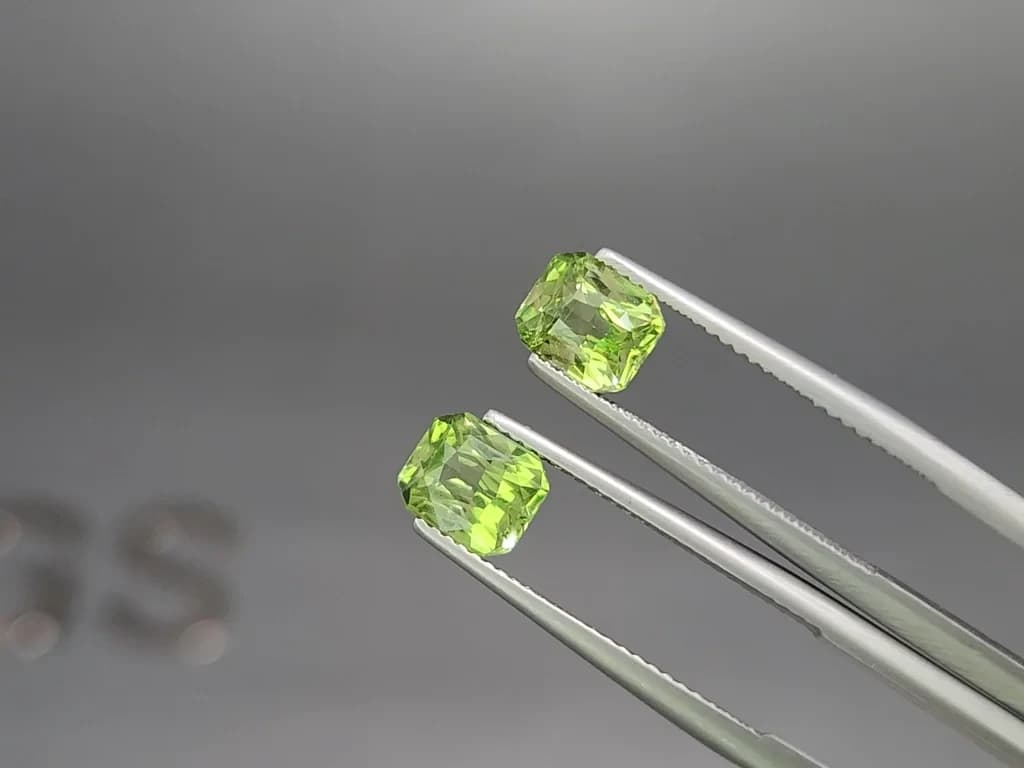 Pair of tsavorite garnets radiant cut 3.30 carats, Africa ID 11846