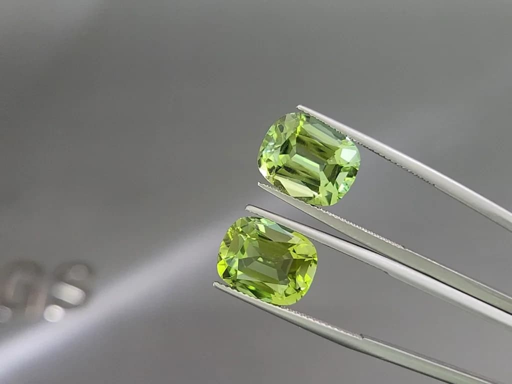 Pair of green tourmalines cushion cut 13.79 carats, Colombia ID 11061
