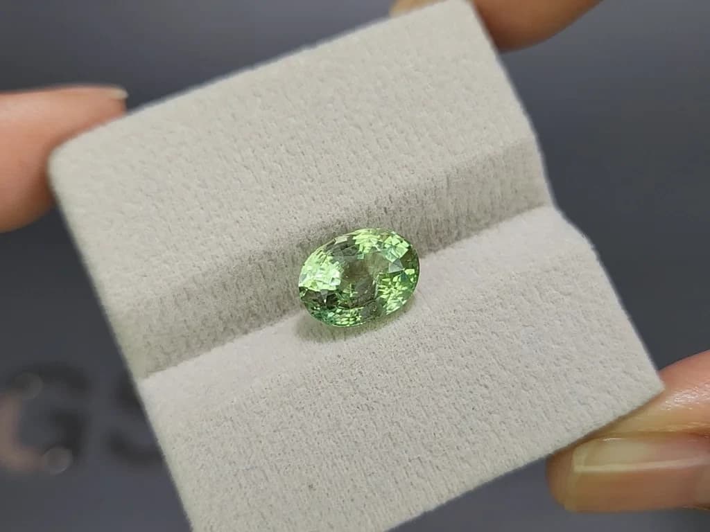 Grossular garnet oval cut 4.51 carats, Tanzania ID 11882