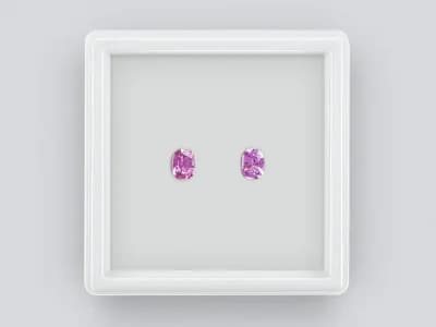 Pair of rhodolite garnets cushion cut 1.33 carats, Madagascar ID 11564