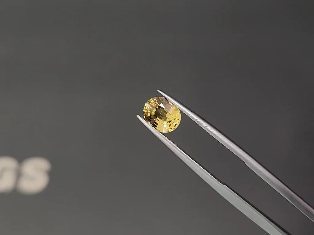Unheated sapphire Vivid Yellow oval cut 1.57 carats, Sri Lanka ID 12395