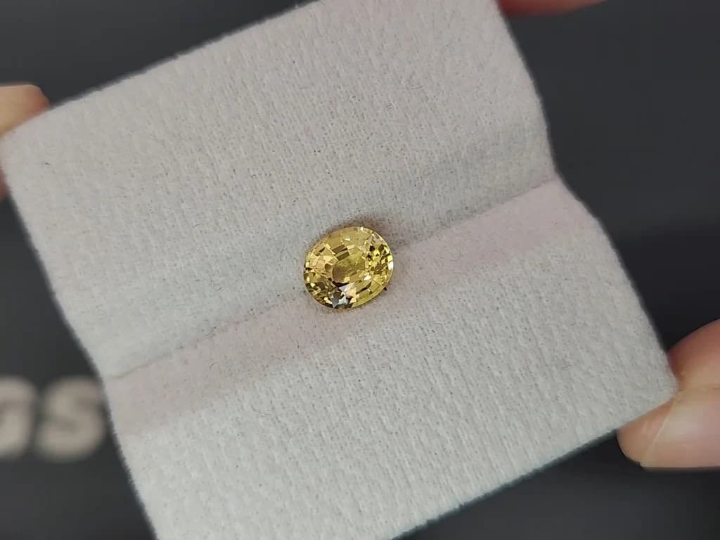 Unheated sapphire Vivid Yellow oval cut 1.57 carats, Sri Lanka ID 12395