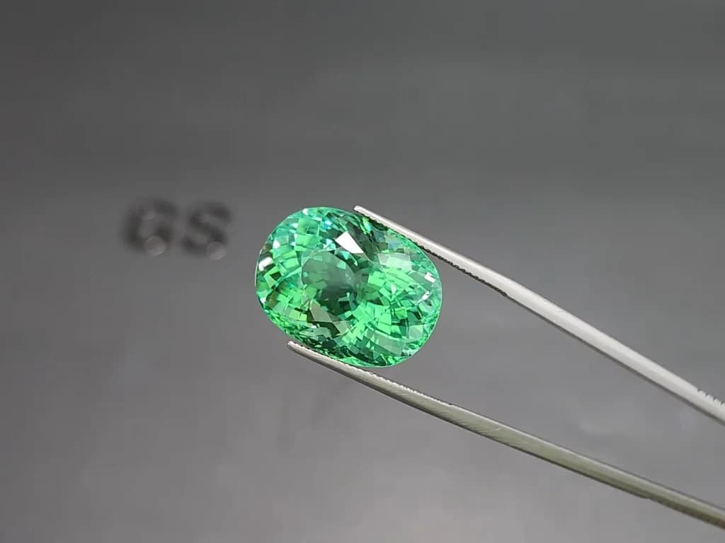Large green Paraiba tourmaline oval cut 32.62 carats, Mozambique ID 11601