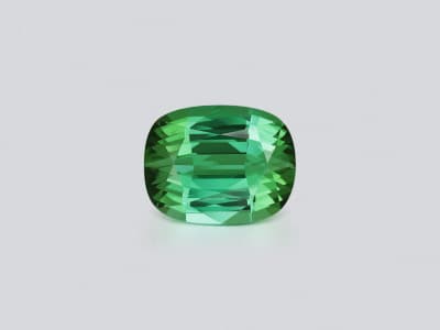Large chrysoberyl cushion cut 14.12 carats, Sri Lanka ID 12129