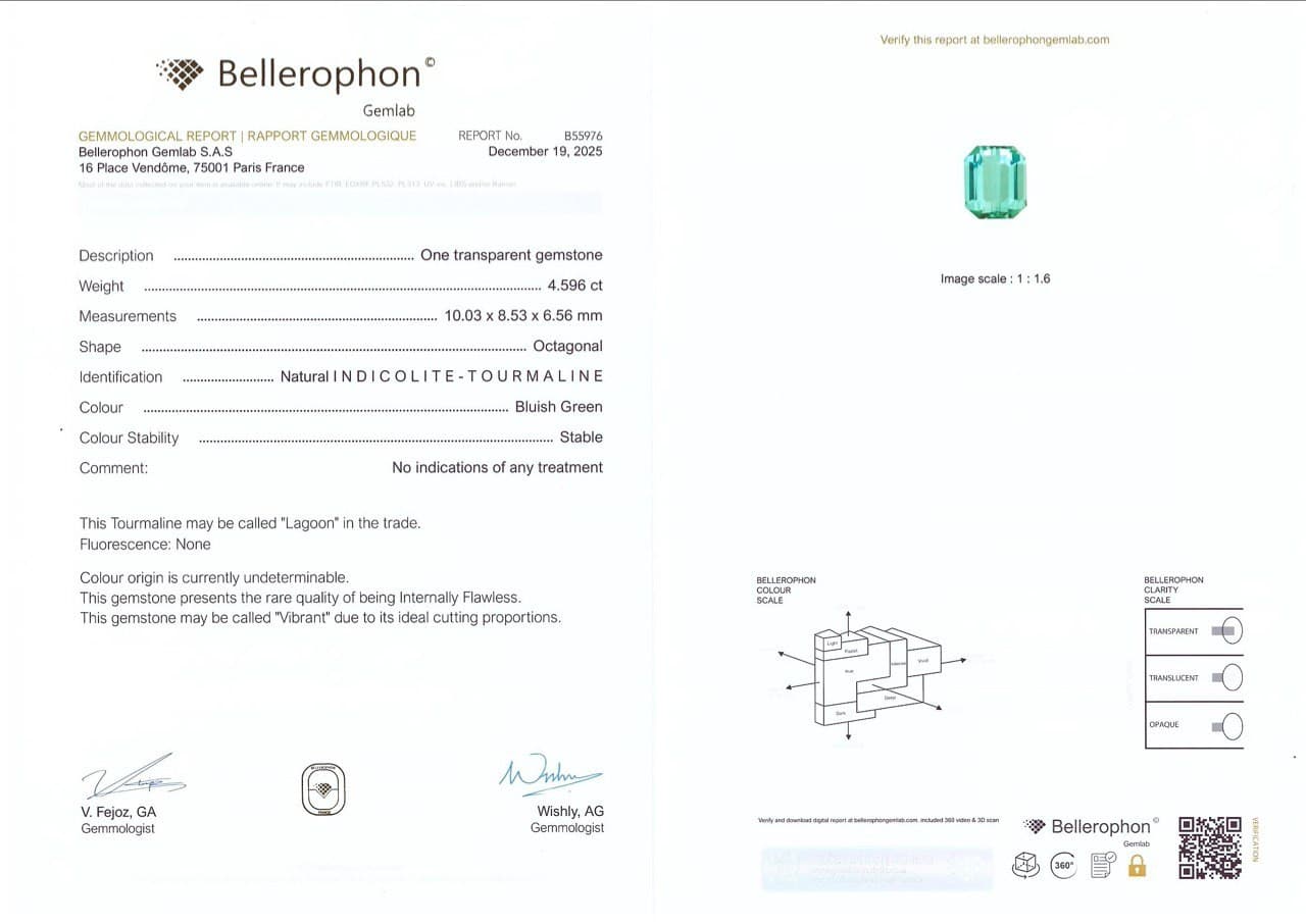 Vibrant Lagoon Tourmaline in octagon cut 4.60 carats, Afghanistan ID 10812