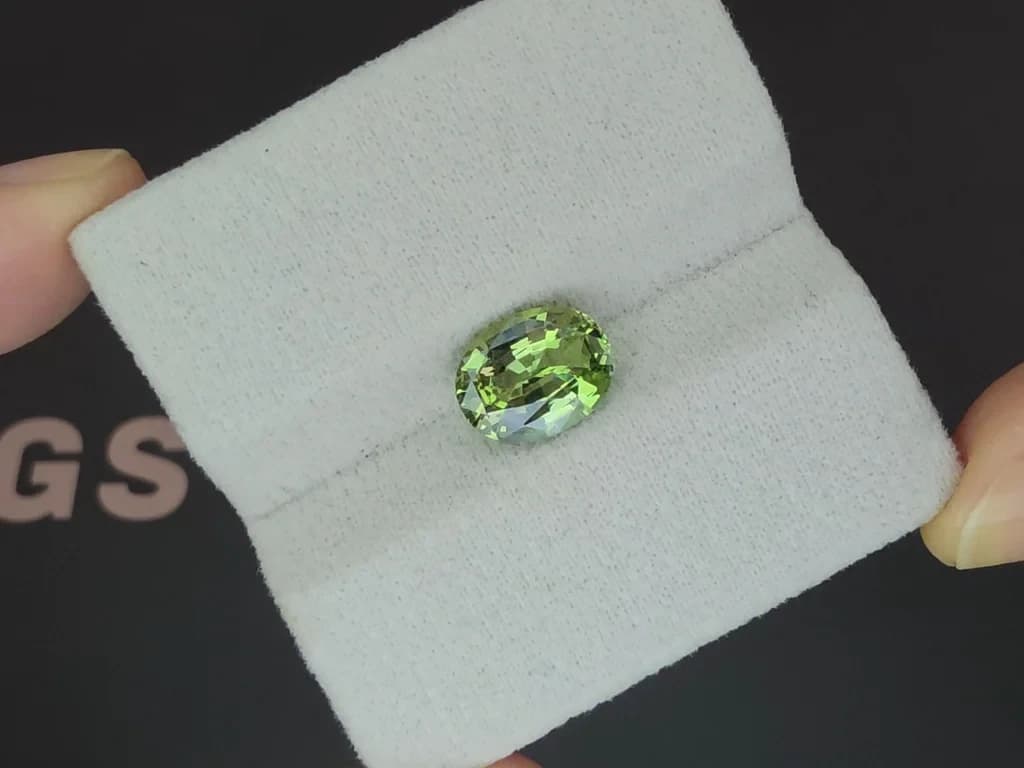 Tsavorite garnet oval cut 3.03 carats, Tanzania ID 12121