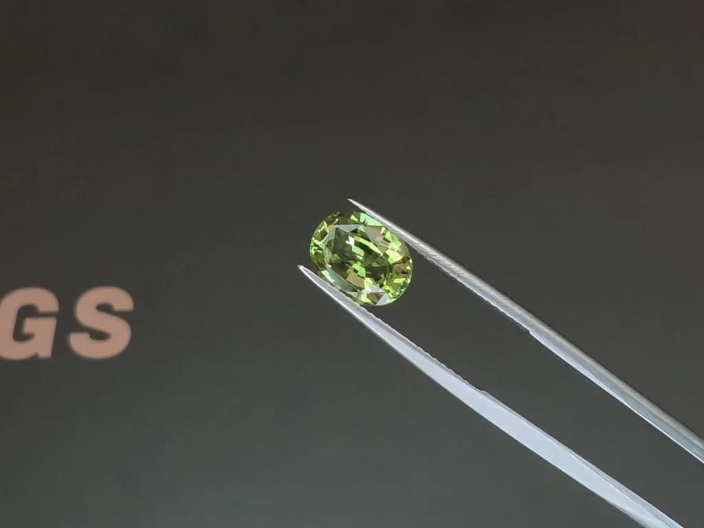 Tsavorite garnet oval cut 3.03 carats, Tanzania ID 12121