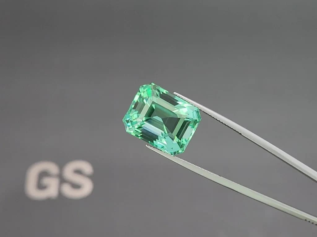 Unique Lagoon green beryl in octagon cut 22.34 carats, Nigeria ID 10838