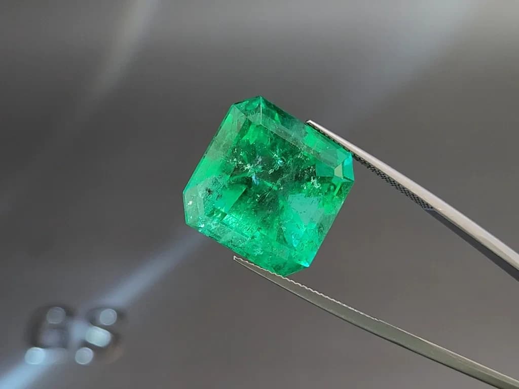 Large emerald Intense Green octagon cut 29.23 carats, Colombia ID 11040