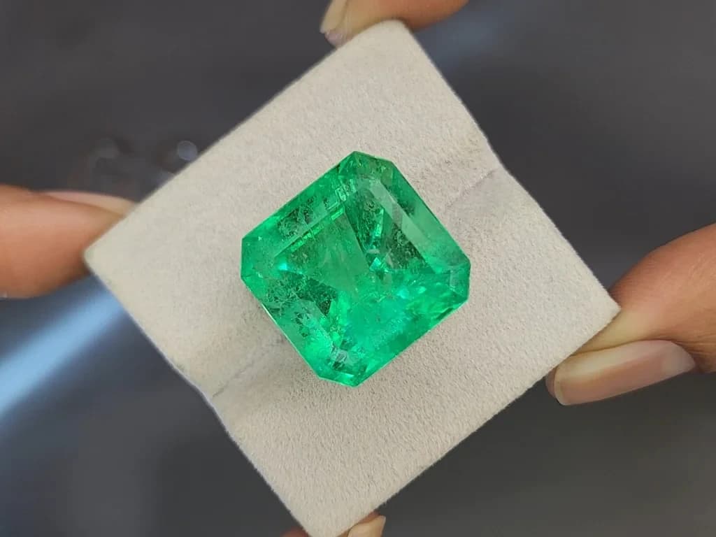 Large emerald Intense Green octagon cut 29.23 carats, Colombia ID 11040