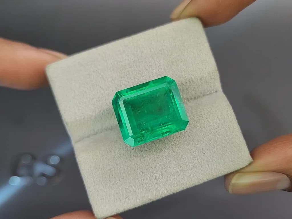 Emerald Vivid Green octagon cut 13.66 carats, Colombia ID 11042