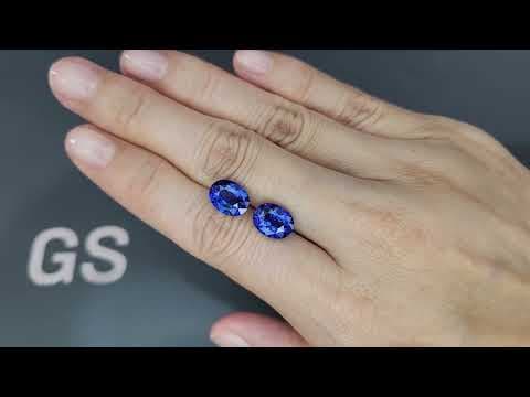 Pair of sapphires Royal Blue oval cut 8.15 carats, Sri Lanka ID 11408