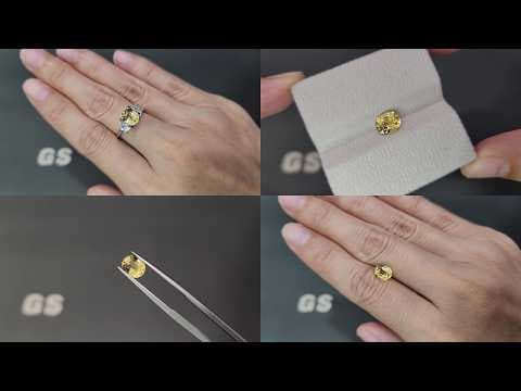 Unheated sapphire Vivid Yellow oval cut 1.57 carats, Sri Lanka ID 12395