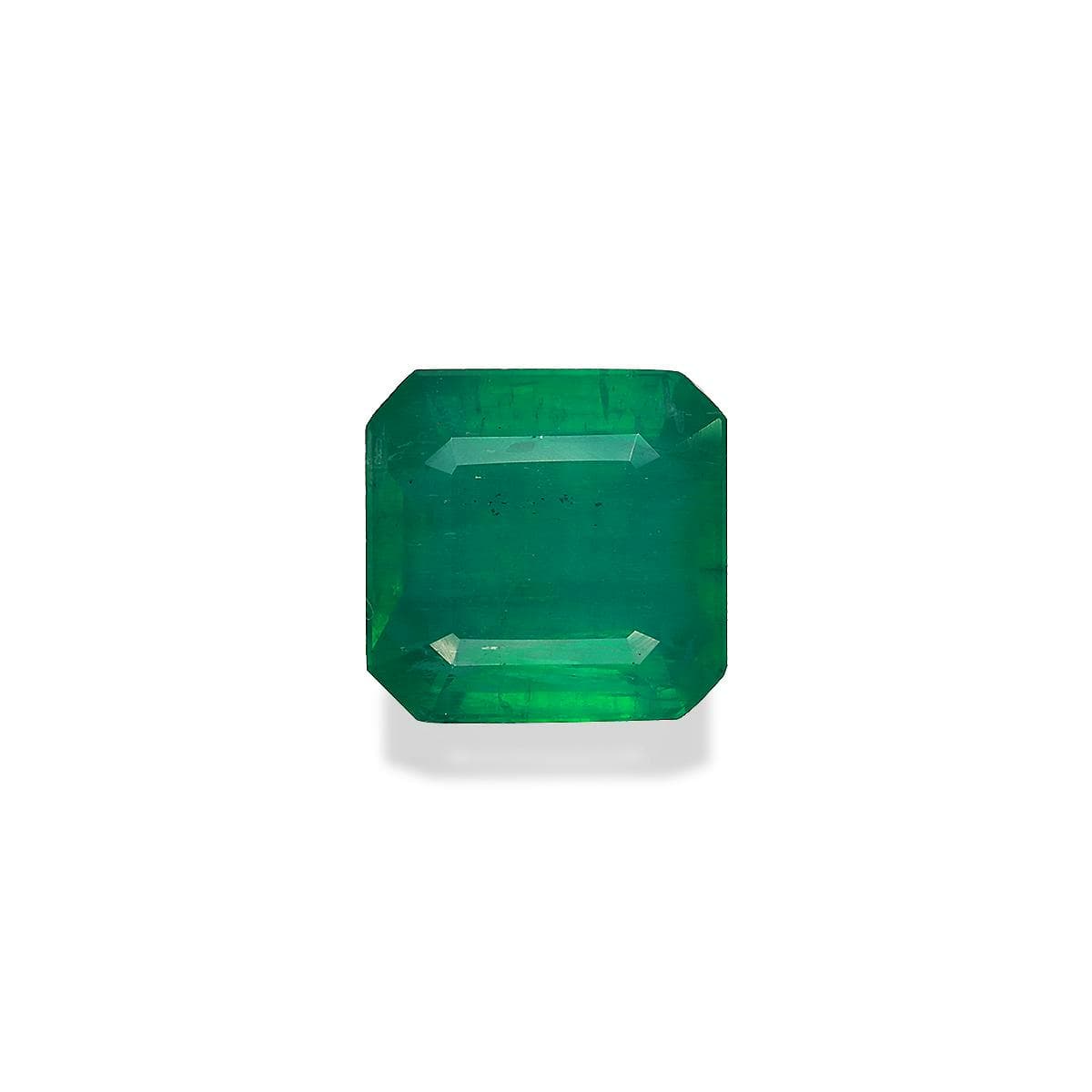 Green Zambian Emerald 1.12ct – 6mm (PG0513)