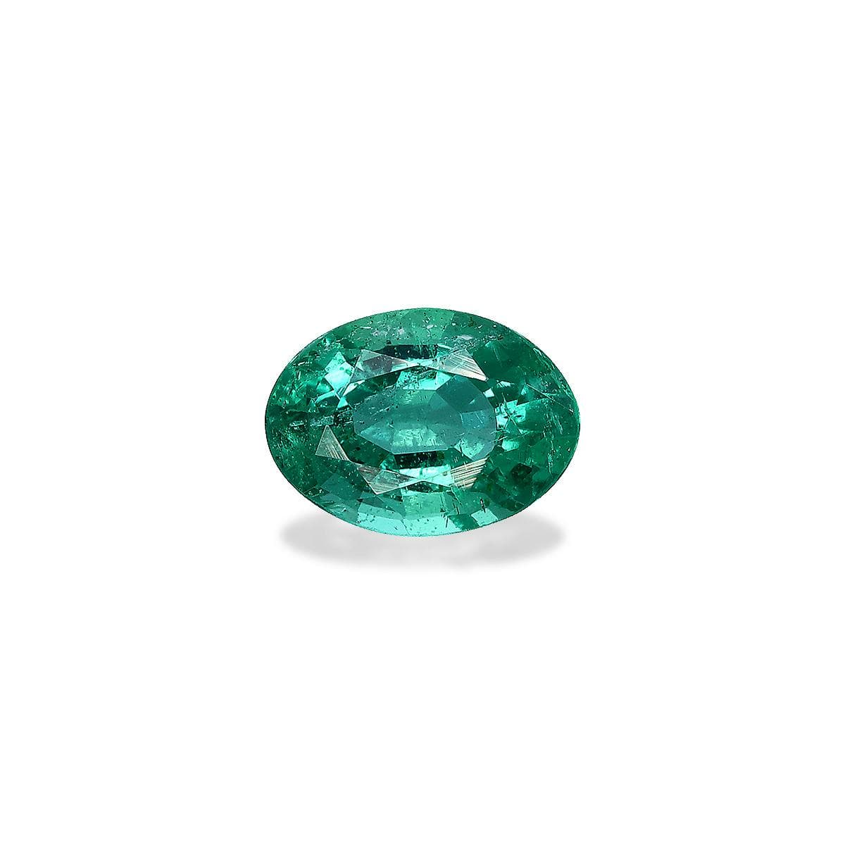 Green Zambian Emerald 7.14ct – 13x11mm (PG0470)