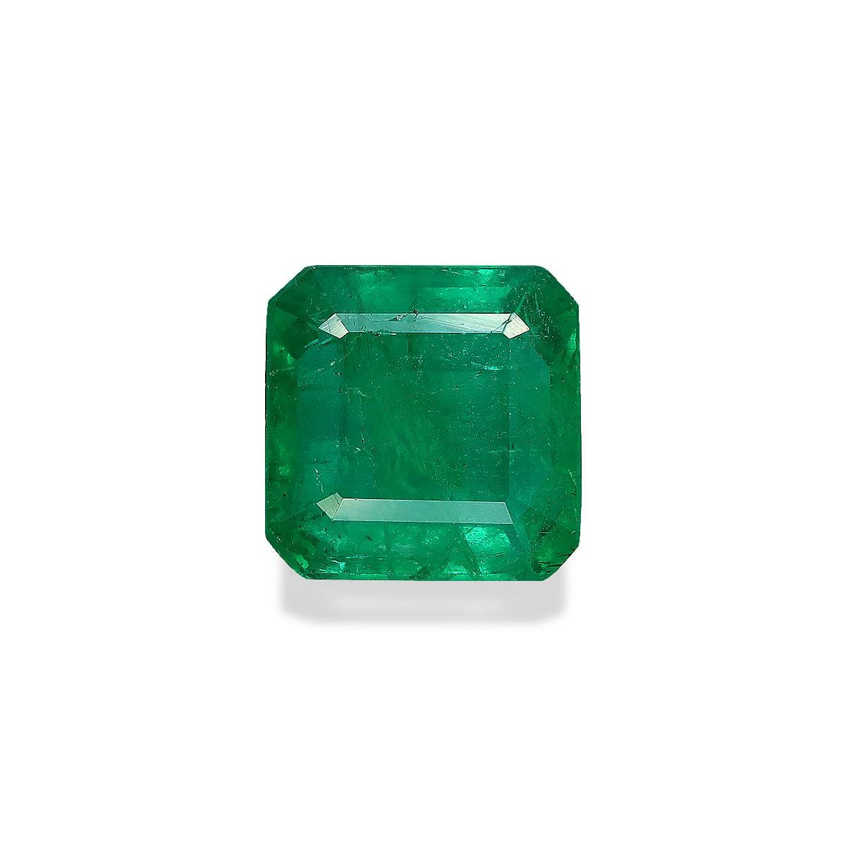 Green Zambian Emerald 3.35ct (PG0424)