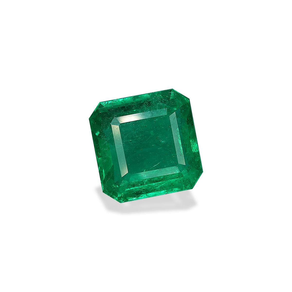 Green Zambian Emerald 9.01ct – 12mm (PG0461)