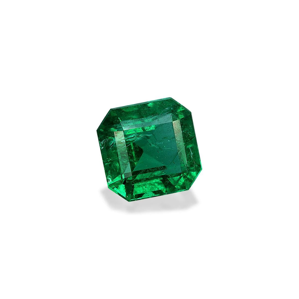 Green Zambian Emerald 3.66ct (PG0464)