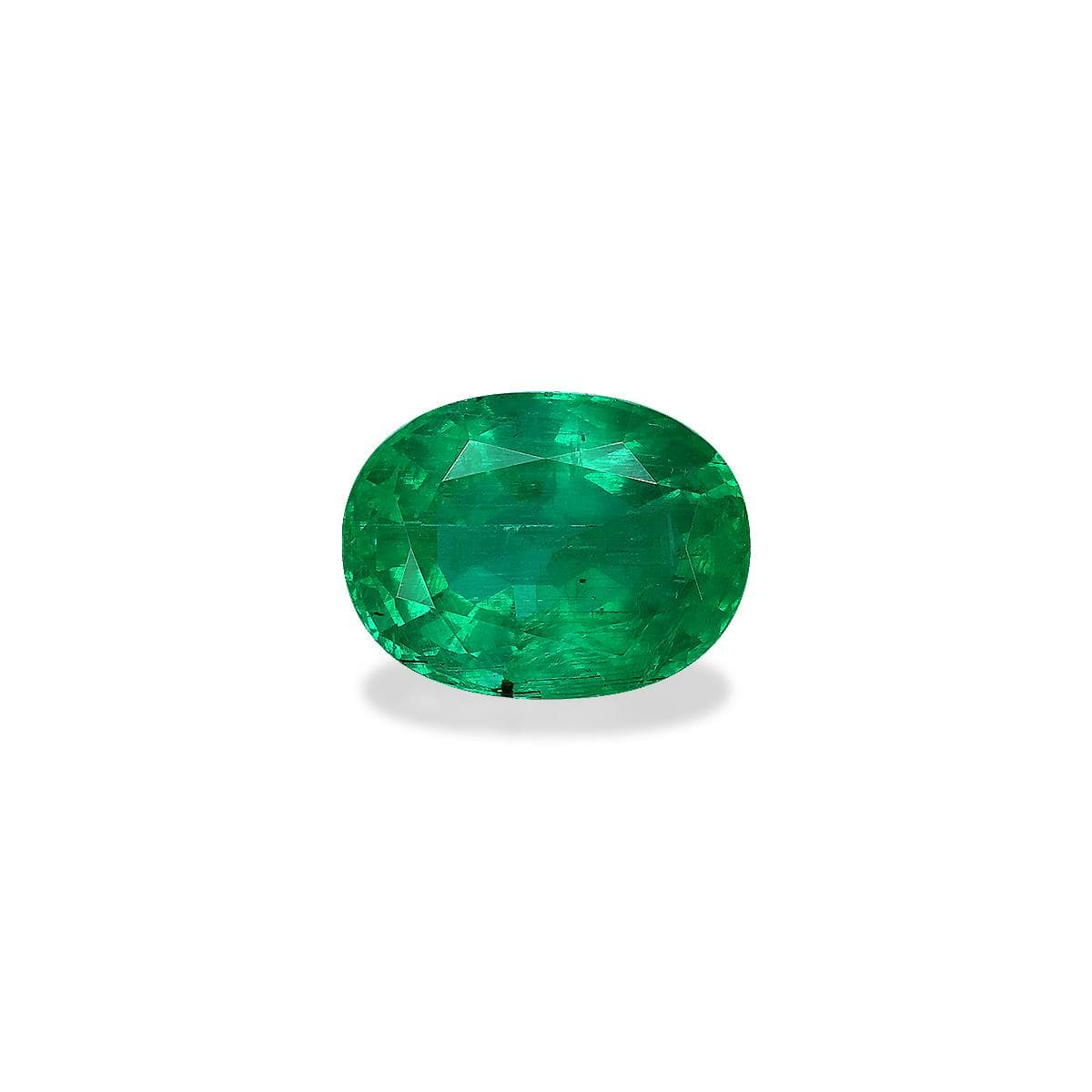 Green Zambian Emerald 9.15ct (PG0469)