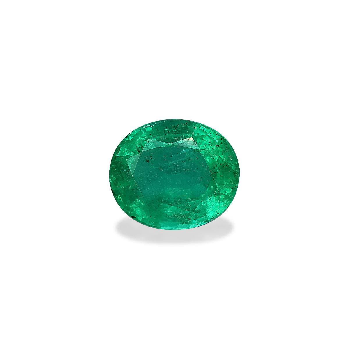 Green Zambian Emerald 7.14ct – 13x11mm (PG0470)