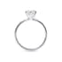 Zeta solitaire round cut Diamond 18k white gold