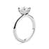 Eden solitaire round cut Diamond 18k white gold