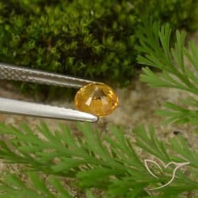 0.73ct Natural Dark Orange-Gold Sapphire, Round Cut, 5.15 mm