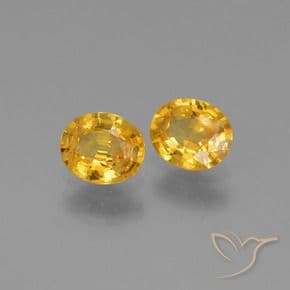 1.44ct Natural Dark Golden Sapphire, Oval Cut, 6x5 mm