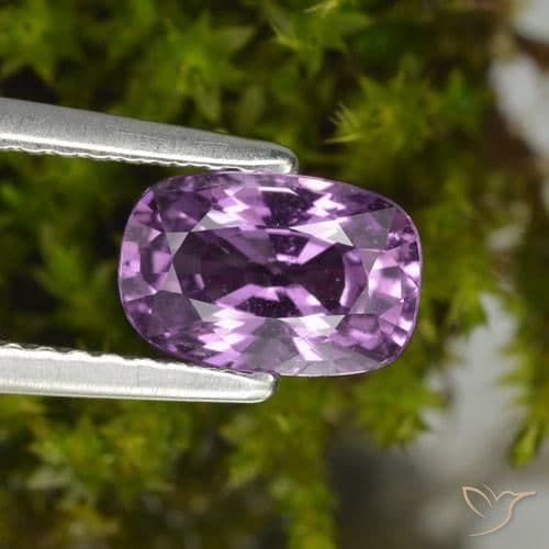 1.59ct Medium Purple Sapphire, Cushion Cut, 7.8x5.3 mm