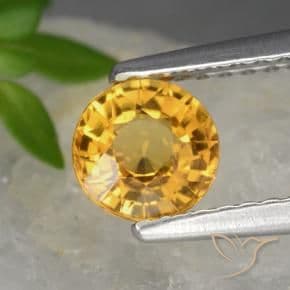 0.83ct Natural Dark Golden Sapphire, Round Cut, 5.38 mm