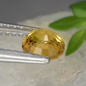 0.83ct Natural Dark Golden Sapphire, Round Cut, 5.38 mm