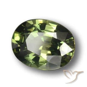 3.38ct Medium-Dark Green Sapphire, Oval Cut, 10.2x7.9 mm