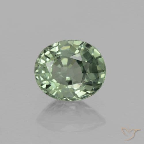 3.12ct Natural Forest Green Sapphire, Oval Cut, 5.9x4.9 mm