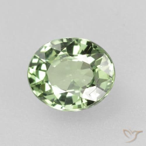 0.75ct Light Forest Green Sapphire, Oval Cut, 5.9x4.9 mm