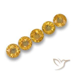 2.47ct Natural Dark Golden Sapphire, Round Cut, 4.81 mm