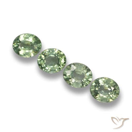 3.32ct Natural Forest Green Sapphire, Oval Cut, 6x5 mm