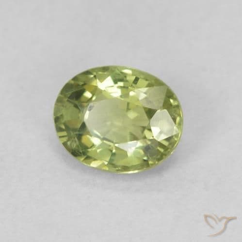 0.50ct Warm Forest Green Sapphire, Oval Cut, 5.1x4.2 mm