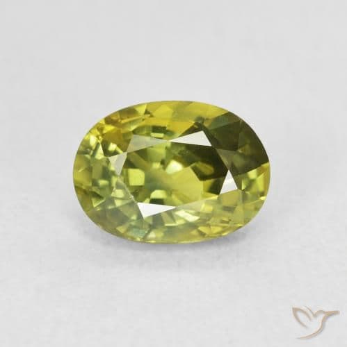 1.51ct Light Forest Green Sapphire, Oval Cut, 8.2x6.2 mm