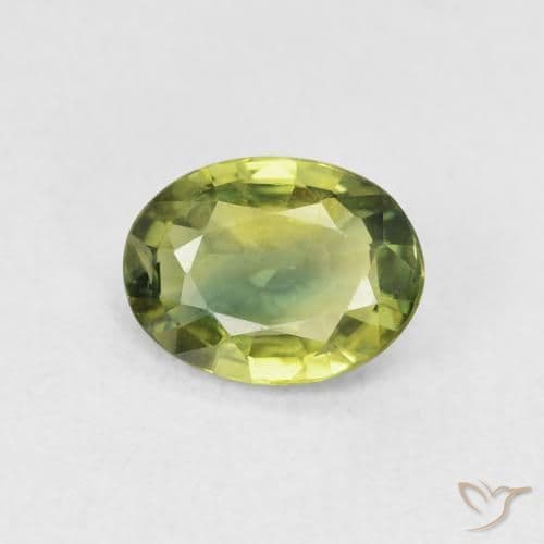 1.51ct Light Forest Green Sapphire, Oval Cut, 8.2x6.2 mm