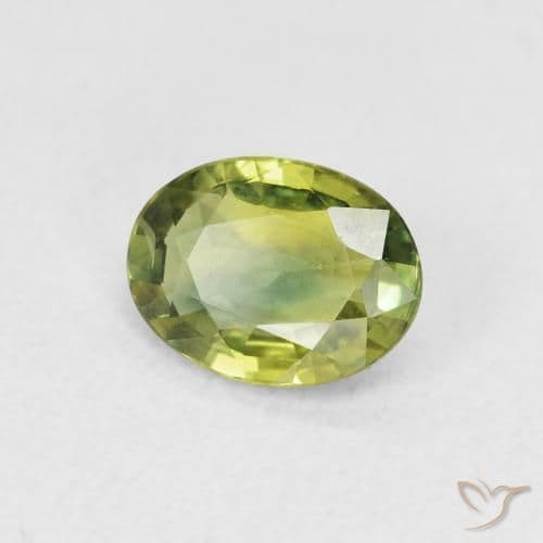 1.51ct Light Forest Green Sapphire, Oval Cut, 8.2x6.2 mm