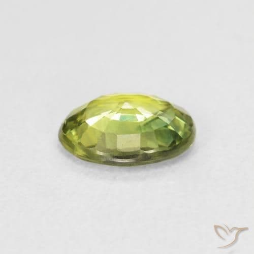 1.51ct Light Forest Green Sapphire, Oval Cut, 8.2x6.2 mm