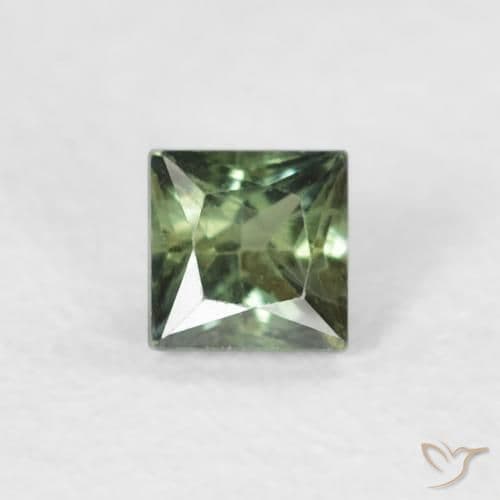 0.24ct Natural Dark Green Sapphire, Square, 3.1x3 mm