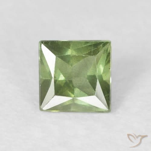 0.33ct Warm Forest Green Sapphire, Square, 3.8x3.8 mm