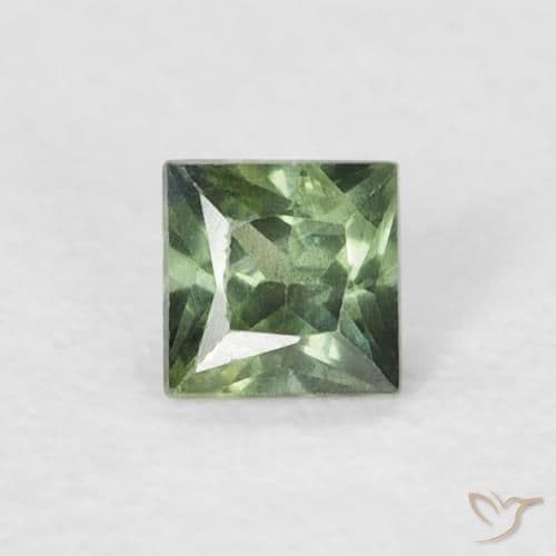 0.21ct Natural Light Forest Green Sapphire, Square, 3.1x3 mm