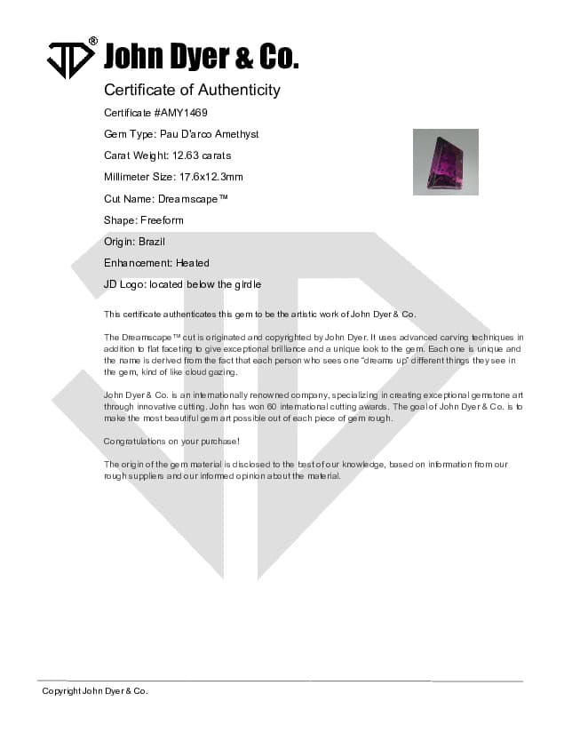 Pau D'arco Amethyst Dreamscape™ Cut 12.63 carats