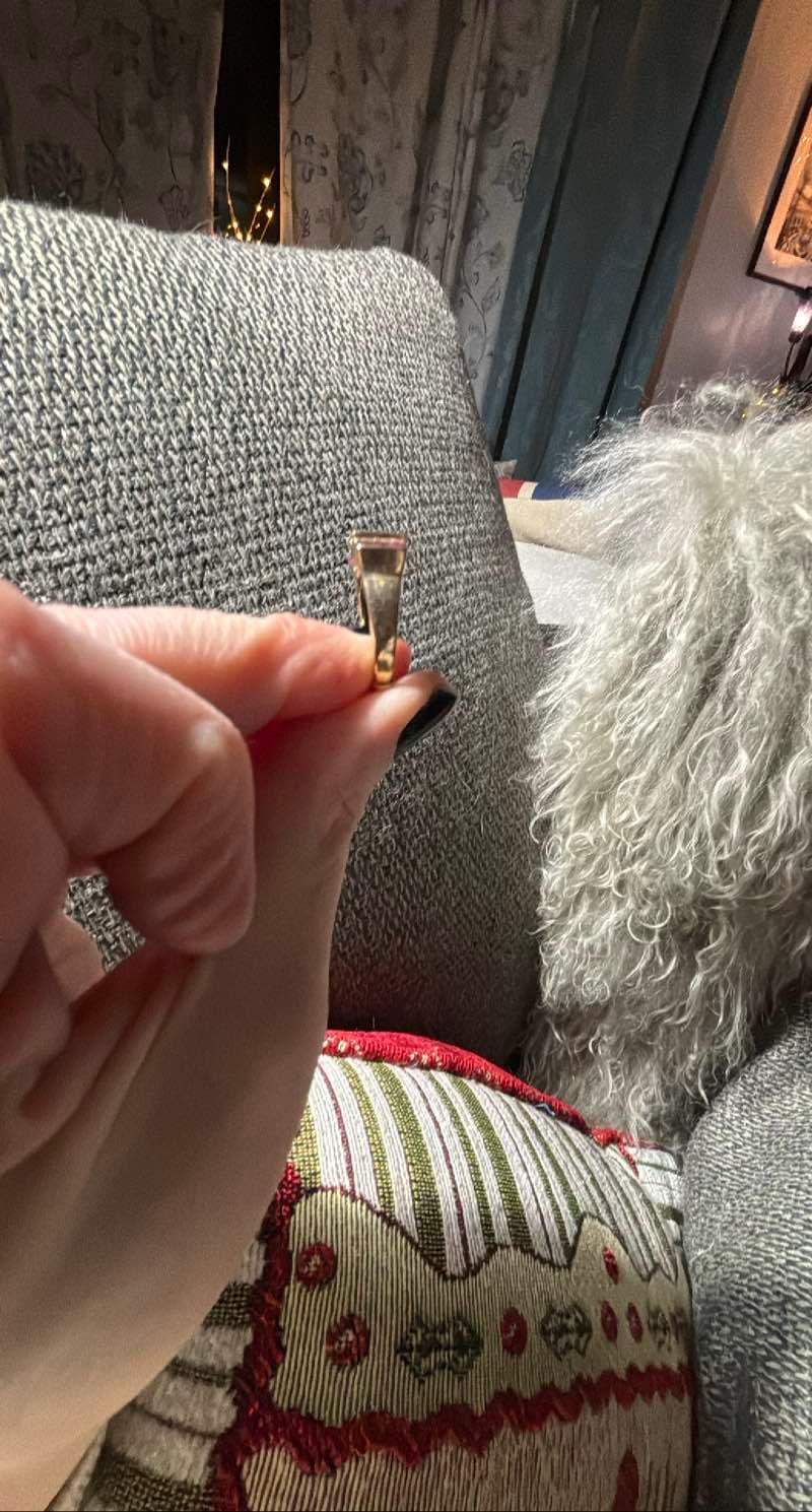 Ruby and Onyx Ring