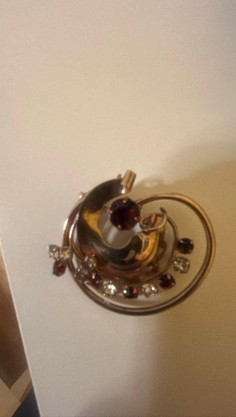 Ruby and Diamond Brooch