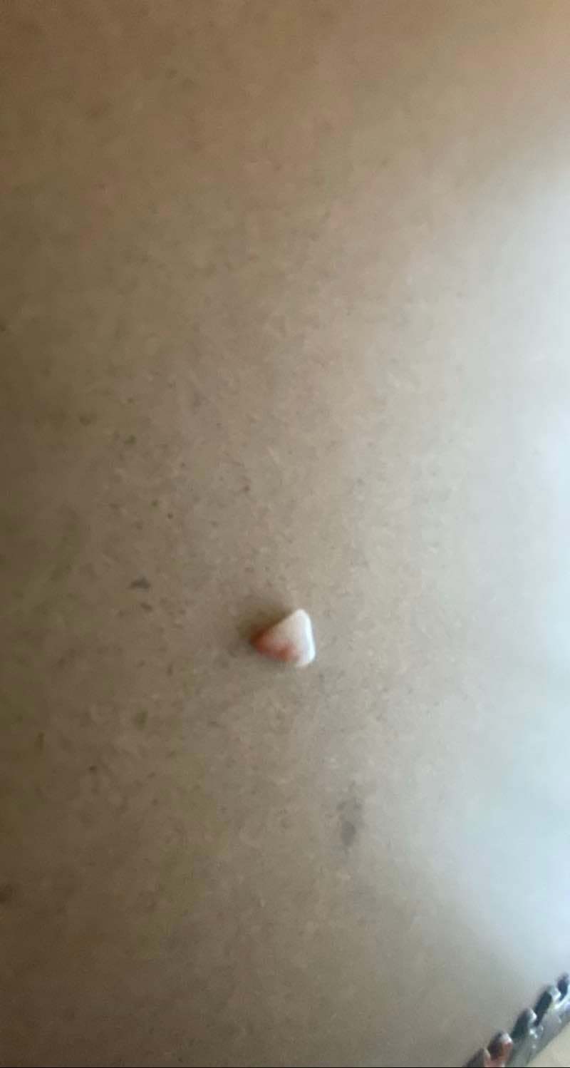 Natural Coral