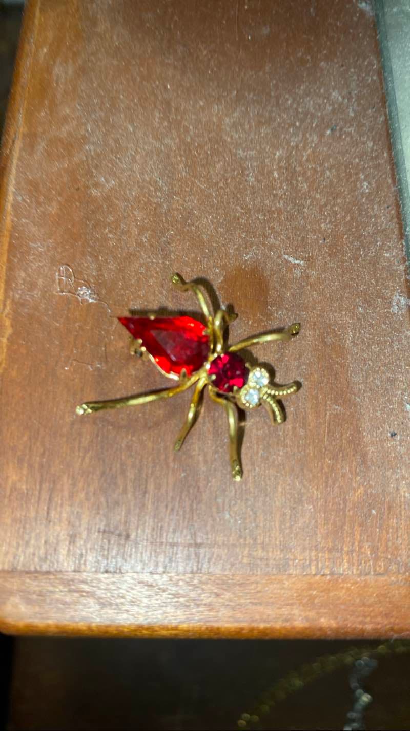 Ruby Brooch