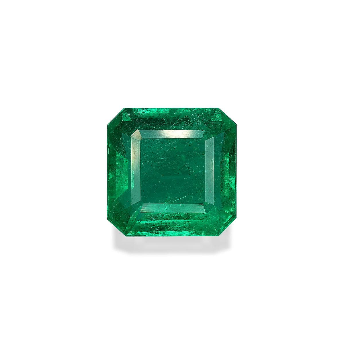 Green Zambian Emerald 9.01ct – 12mm (PG0461)